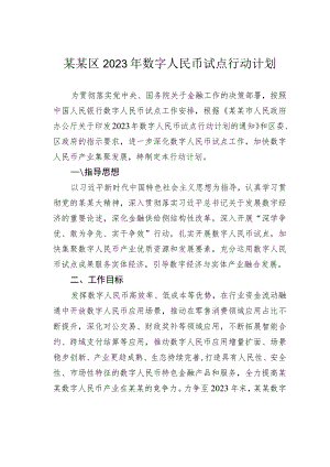 某某区2023年数字人民币试点行动计划.docx