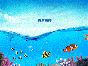 自然拼读.ppt