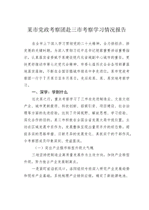 某市党政考察团赴三市考察学习情况报告.docx