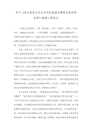（2篇）学习2023《深化团结合作 应对风险挑战 共建更加美好的世界》致辞心得体会.docx