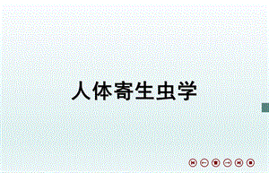 蠕形住肠线虫.ppt