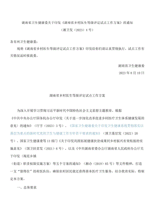 湖南省卫生健康委关于印发《湖南省乡村医生等级评定试点工作方案》的通知.docx
