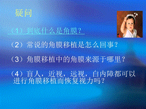 角膜组织工程.ppt