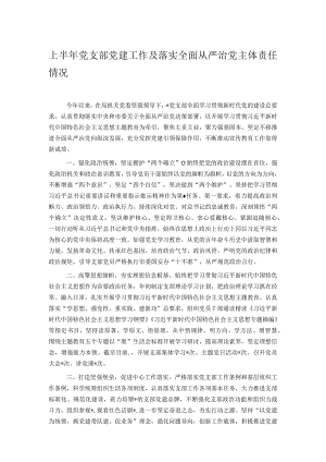 上半年党支部党建工作及落实全面从严治党主体责任情况.docx