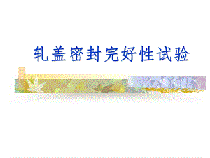 轧盖密封完好性试验.ppt