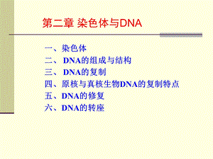 讲第二章染色体与DNA.ppt