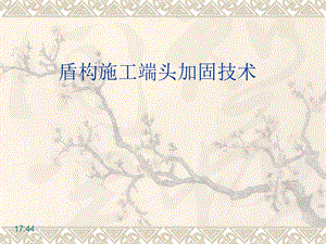 资料盾构施工端头加固技巧讲座.ppt
