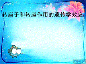 转座子和转座作用的遗传学效应dps.ppt
