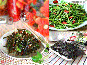藻类苔藓和蕨类植物.ppt