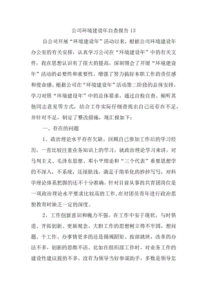 公司环境建设年自查报告 13.docx