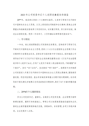 2023年公司党委书记个人述职述廉报告供借鉴.docx