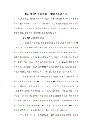 2023年国企主题教育开展情况自查报告.docx