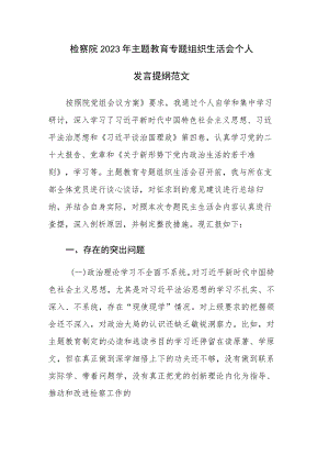检察院2023年主题教育专题组织生活会个人发言提纲范文.docx