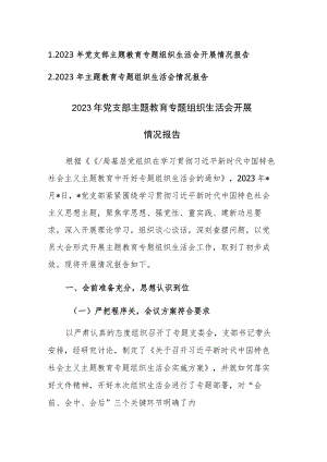 两篇：2023年党支部主题教育专题组织生活会开展情况报告.docx