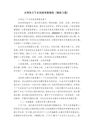 大学生三下乡实地考察报告（精选3篇）.docx