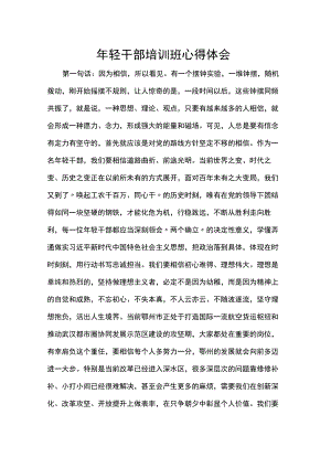 年轻干部培训班心得体会.docx