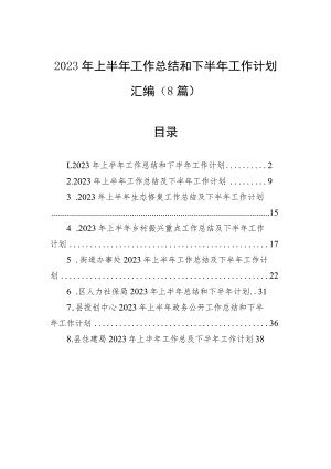 2023年上半年工作总结和下半年工作计划（8篇）.docx