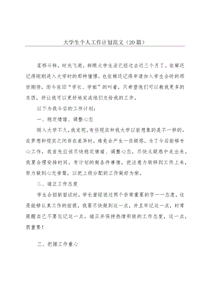 大学生个人工作计划范文（20篇）.docx