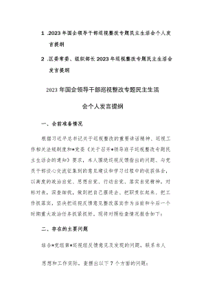 两篇：2023年领导干部巡视整改专题民主生活会个人发言提纲范文.docx