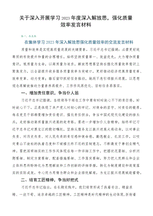 关于深入开展学习2023年度深入解放思强化质量效率发言材料.docx