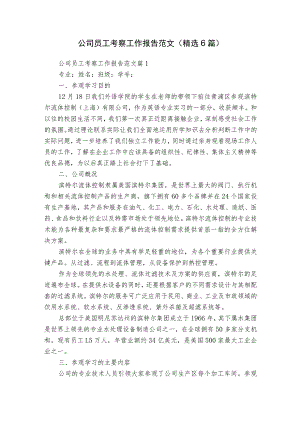 公司员工考察工作报告范文（精选6篇）.docx