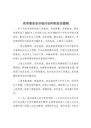 在市委全会分组讨论时的发言提纲.docx