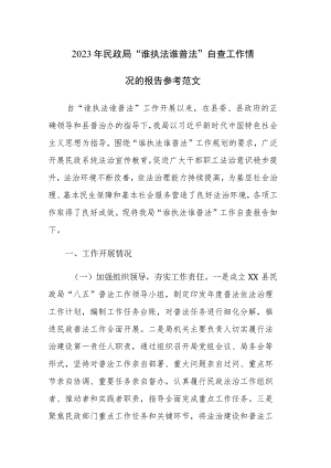 2023年民政局“谁执法谁普法”自查工作情况的报告参考范文.docx