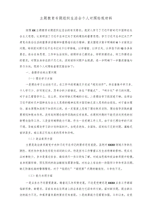 （2篇）主题教育专题组织生活会个人对照检视材料（专题组织生活会班子对照检查材料）.docx