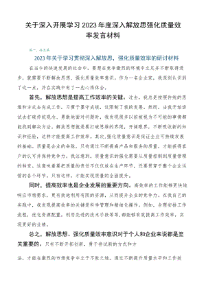 关于深入开展学习2023年度深入解放思强化质量效率发言材料.docx
