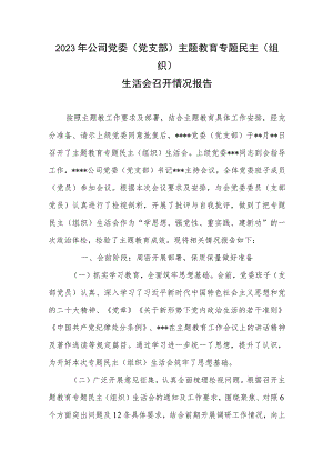 2023年公司党委（党支部）主题教育专题民主（组织）生活会召开情况报告.docx