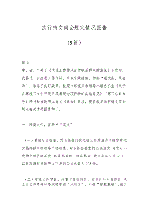 （5篇）执行精文简会规定情况报告.docx