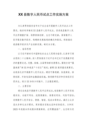 XX县数字人民币试点工作实施方案.docx