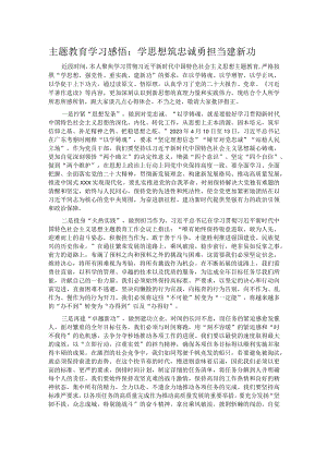 主题教育学习感悟：学思想 筑忠诚 勇担当 建新功.docx