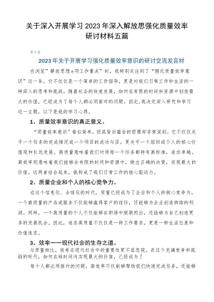 关于深入开展学习2023年深入解放思强化质量效率研讨材料五篇.docx