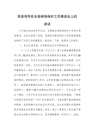 某县领导在全县耕地保护工作推进会上的讲话.docx