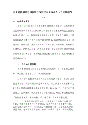 央企党委副书记巡视整改专题民主生活会个人发言提纲范文.docx