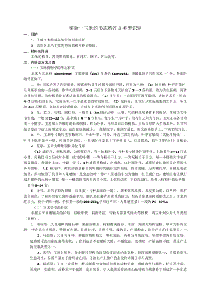 实验十玉米的形态特征及类型识别 实验报告.docx