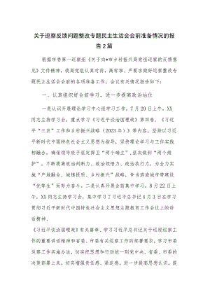 关于巡察反馈问题整改专题民主生活会会前准备情况的报告2篇.docx