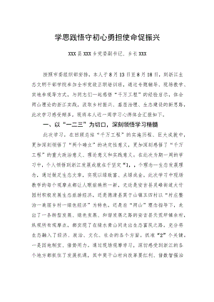 学思践悟守初心勇担使命促振兴.docx