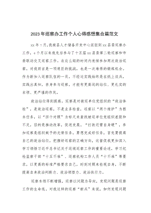 2023年巡察办工作个人心得感想集合篇范文.docx