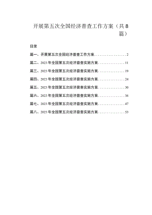 2023开展第五次全国经济普查工作方案（共8篇）.docx