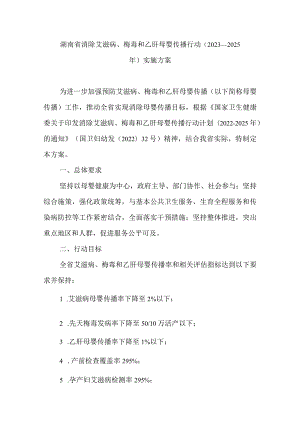 湖南省消除艾滋病、梅毒和乙肝母婴传播行动（2023—2025年）实施方案.docx