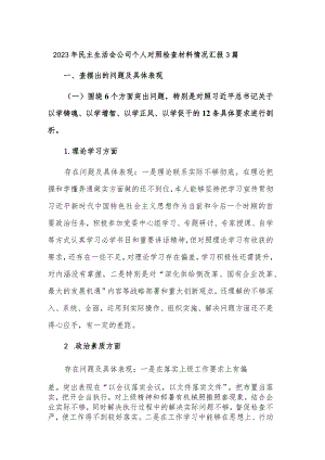 2023年民主生活会公司个人对照检查材料情况汇报3篇.docx