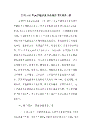 公司2023年关于组织生活会召开情况报告2篇.docx