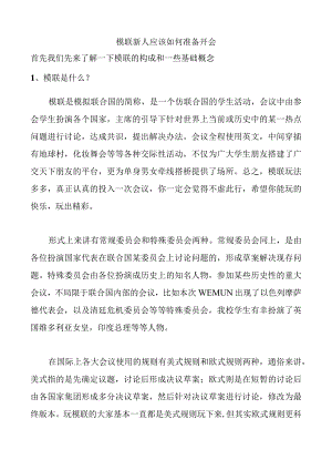 模联新人应该如何准备开会.docx