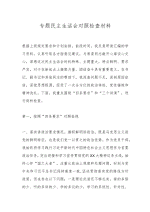 专题民主生活会对照检查材料（七）.docx