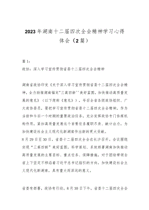 （2篇）2023年湖南十二届四次全会精神学习心得体会.docx