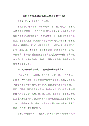 在教育专题推进会上的汇报发言材料范文.docx