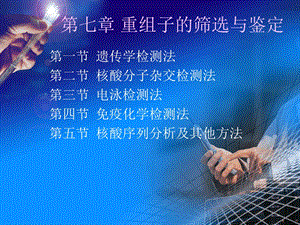 重组子的筛选与鉴定.ppt