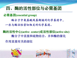 酶的结构纯化及活性十一.ppt